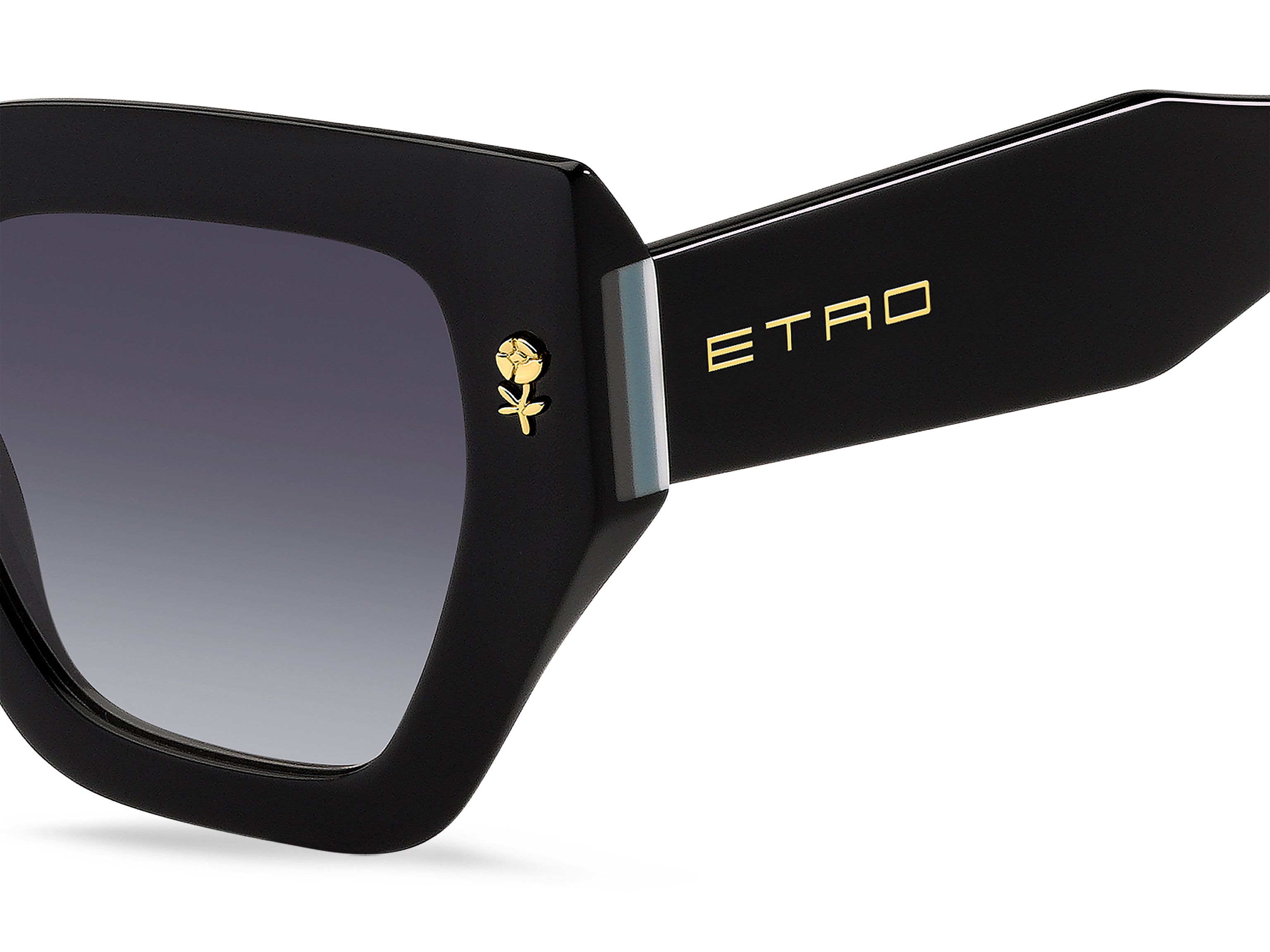 ETRO ETRO 0010/S